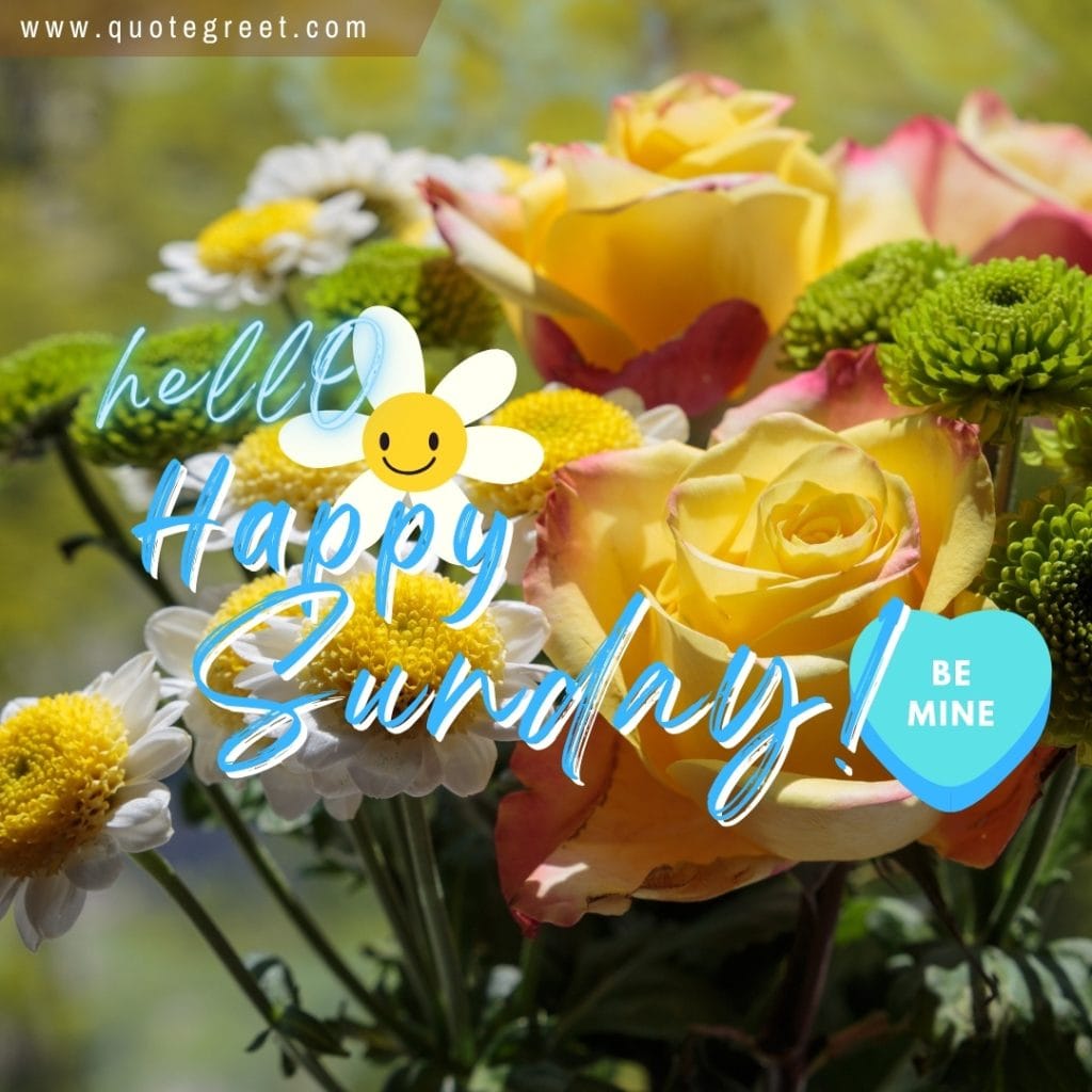 hello-happy-sunday-rose-flower-yellow-white-daisies-daisy-roses-beautiful-cute-image-pic-picture-photo