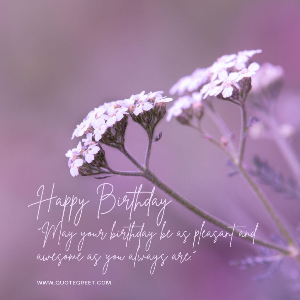 heart-touching-happy-birthday-quotes-purple-flower-girly-quote-beautiful-flowers