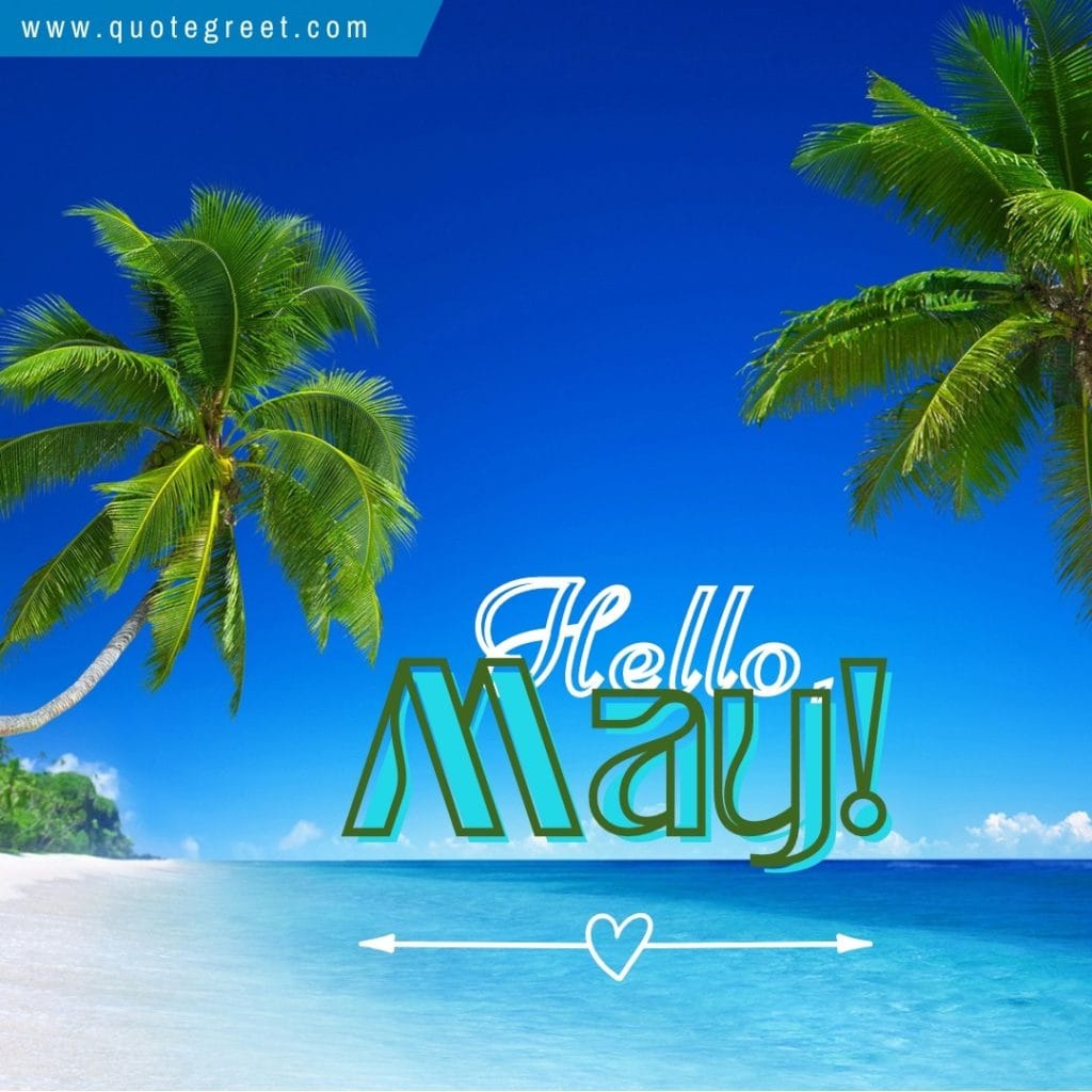 beach-hello-may-with-palm-trees-sea-white-sand-nature-sunny-day-natural-image-pic-picture-photo