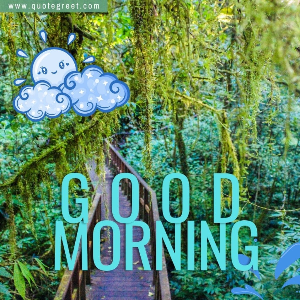 beautiful-forest-with-good-morning-wooden-bridge-trees-nature-natural-scenery-scenic-pic-picture-gud-jungle-wild-wilderness