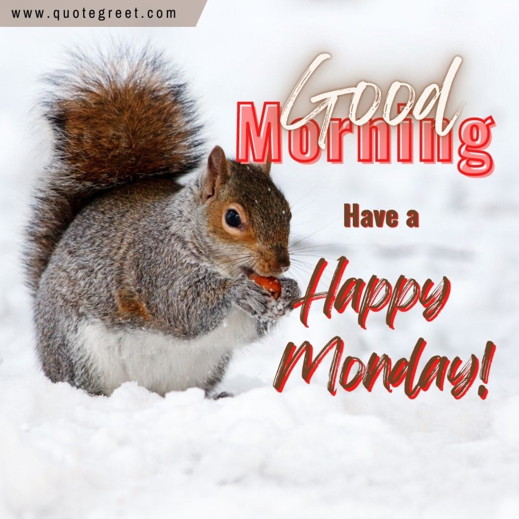 good-morning-happy-monday-squirrel-image-snow-white-winter-cute-picture-pic-photo-gud-wish-message-blessings