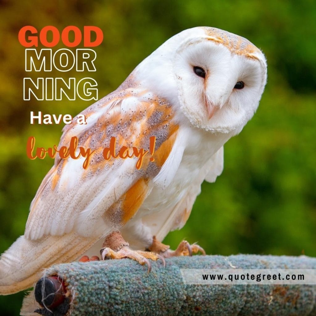 good-morning-have-a-lovely-day-cute-owl-sitting-on-tree-branch-nature-bird