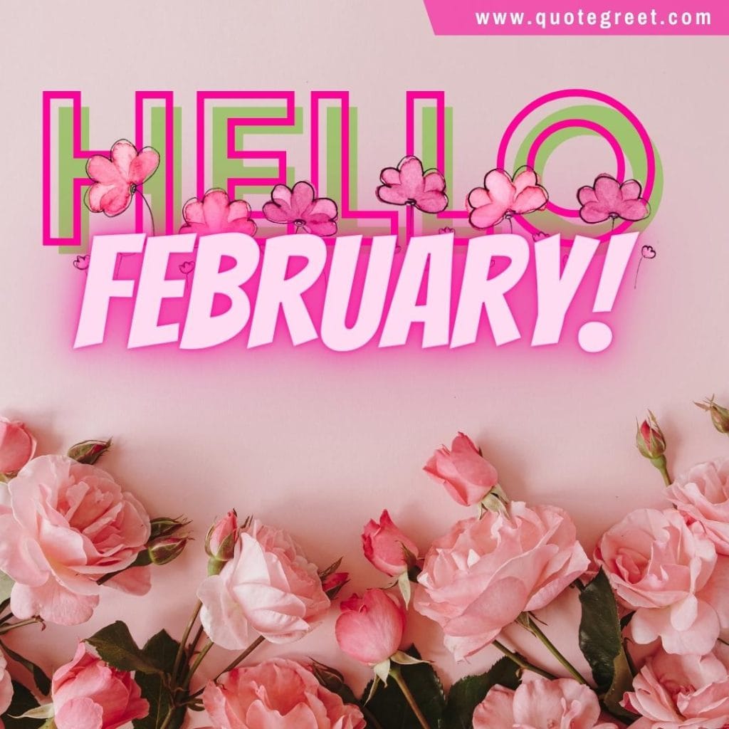 hello-february-with-pink-roses-flowers-image-pic-picture-trees