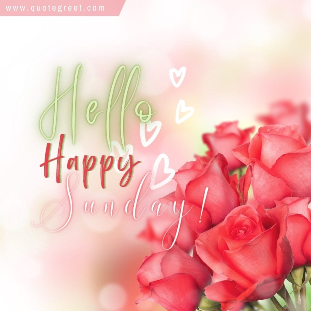 hello-happy-sunday-red-roses-hearts-romantic-bouquet-bookey-booke-image-pic-picture-photo