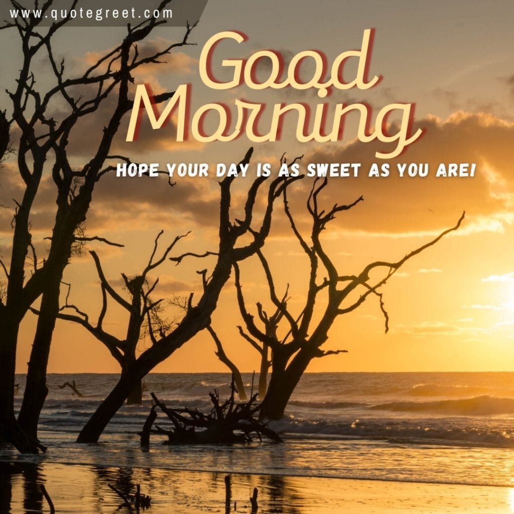 sunrise-beach-tree-branch-good-morning-hope-your-day-is-as-sweet-as-you-are-sea-waves-nature-natural-landscape-pic-gud-image-picture-photo