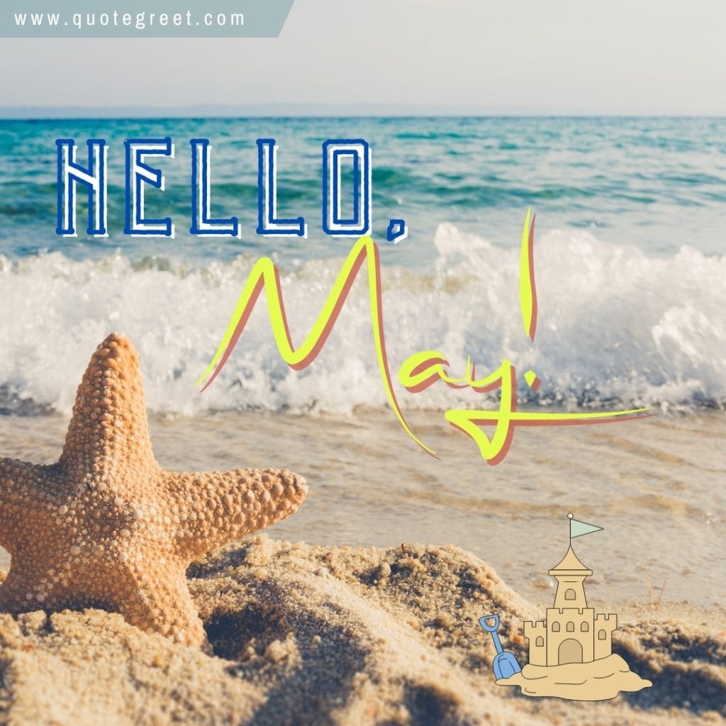 beach-hello-may-starfish-sea-waves-nature-natural-image-pic-picture-photo