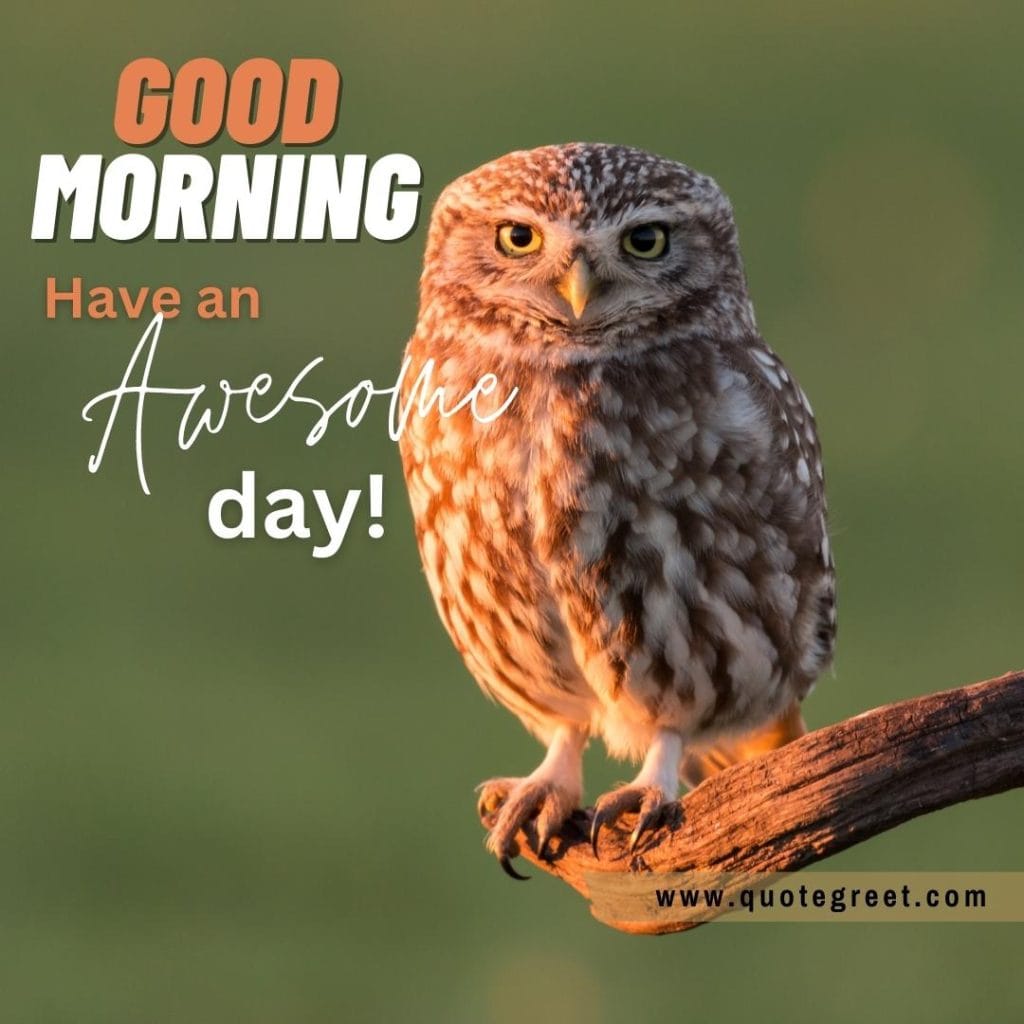 good-morning-have-a-awsome-day-cute-owl-sitting-on-tree-branch-nature-bird