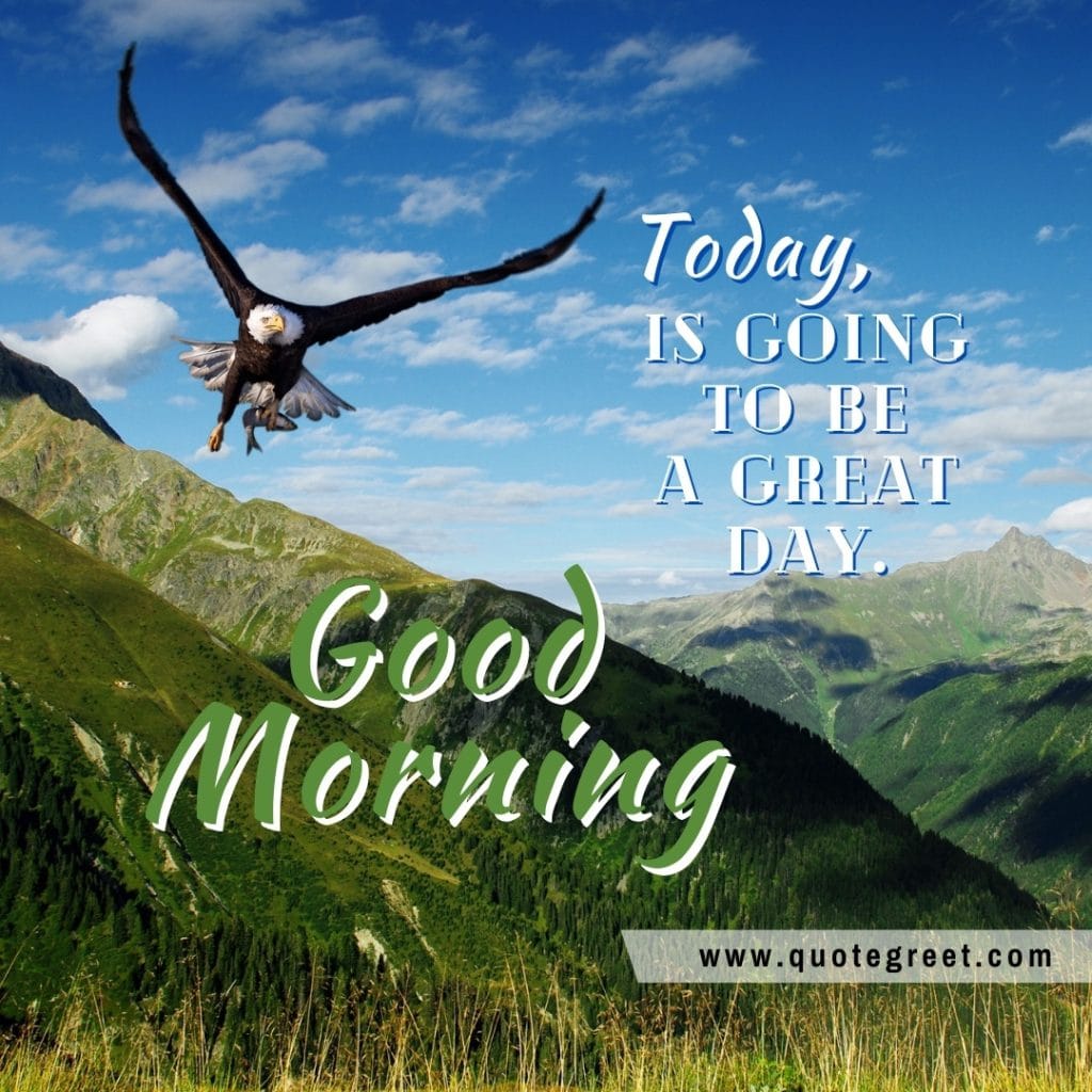 good-morning-today-is-going-to-be-a-great-day-flying-bird-eagle-mountain-nature-image-pic-gud-picture-photo