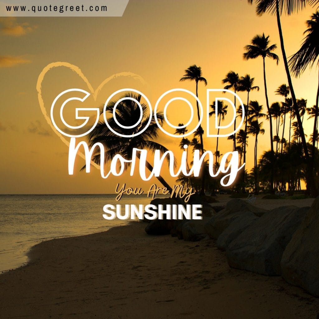 good-morning-you-are-my-sunshine-beach-sunrise-beautiful-nature-natural-landscape-pic-gud-image-picture-photo