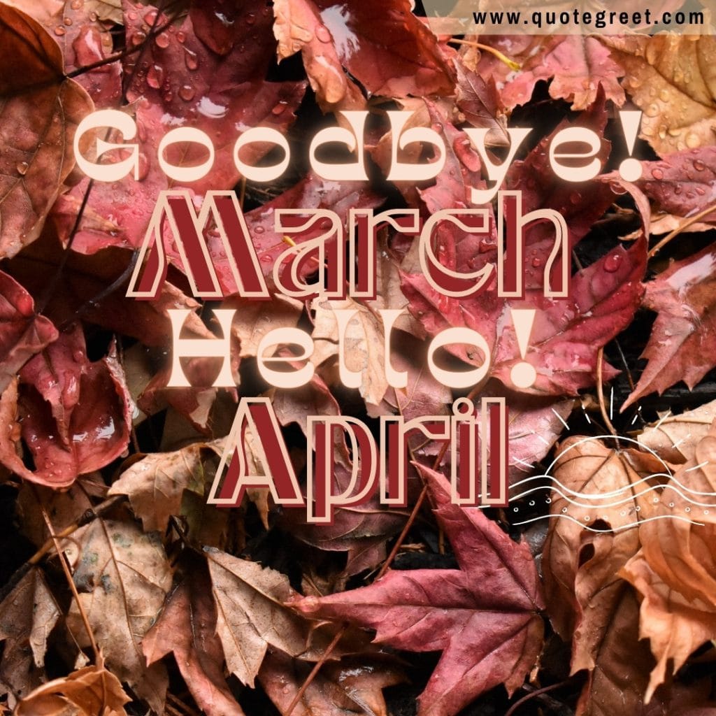 goodbye-march-hello-april-fallen-leaves-dry-leaves-rain-drops-cute-amazing-image-picture-pic-photo