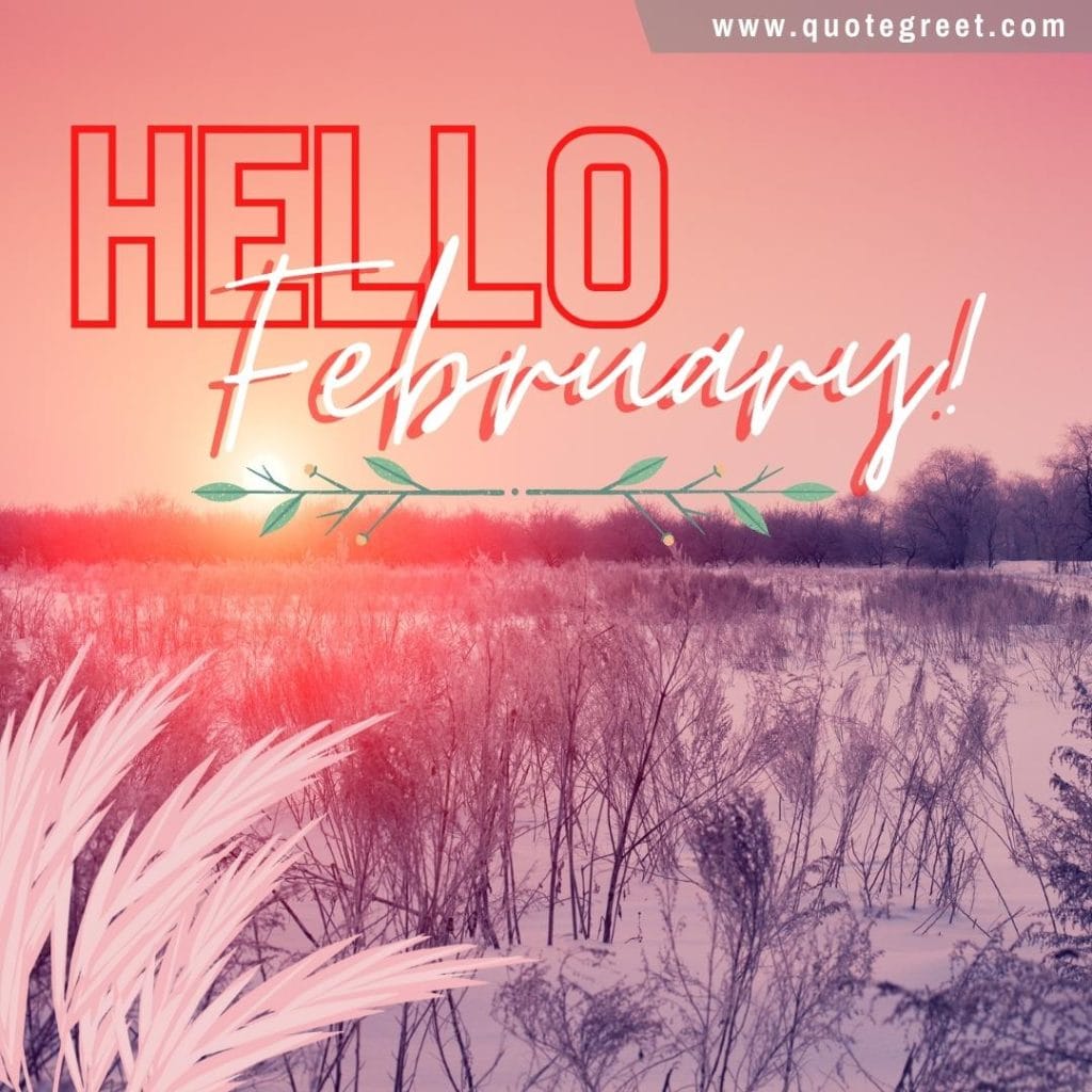 hello-february-with-pink-scenery-image-pic-picture-trees