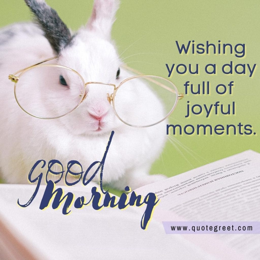 cute-white-rabbit-good-morning-bunny-image-pic-gud-wishes-bunnies-rabit-with-glasses-nerdy-reading-book