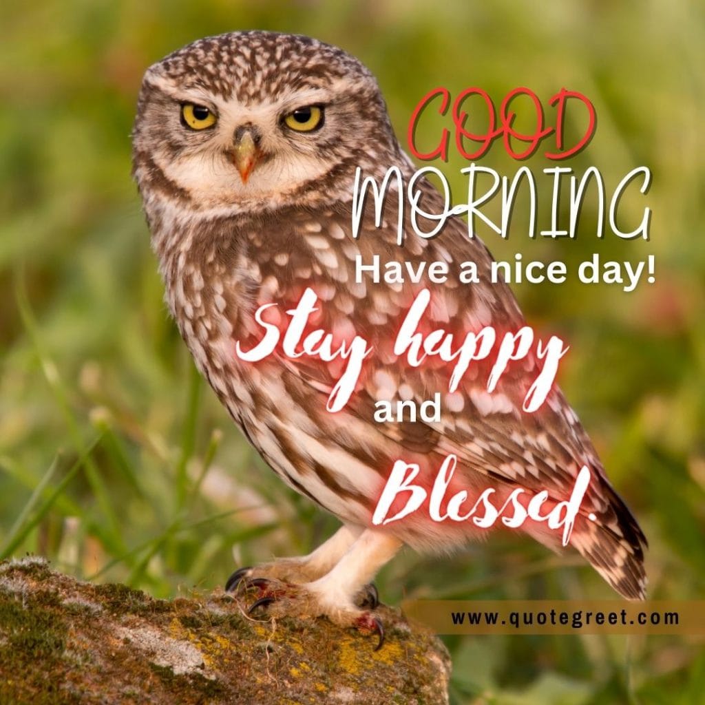 good-morning-have-a-nice-day-cute-owl-sitting-on-tree-branch-nature-bird