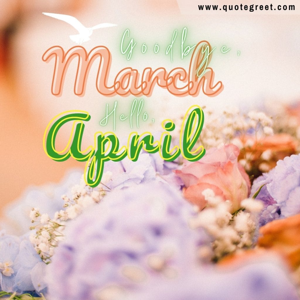 goodbye-march-hello-april-romantic-rose-flower-background-cute-amazing-image-picture-pic-photo