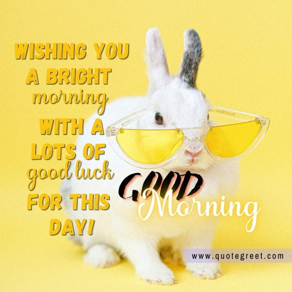 cute-white-rabbit-good-morning-bunny-image-pic-gud-wishes-bunnies-rabit-with-yellow-glasses