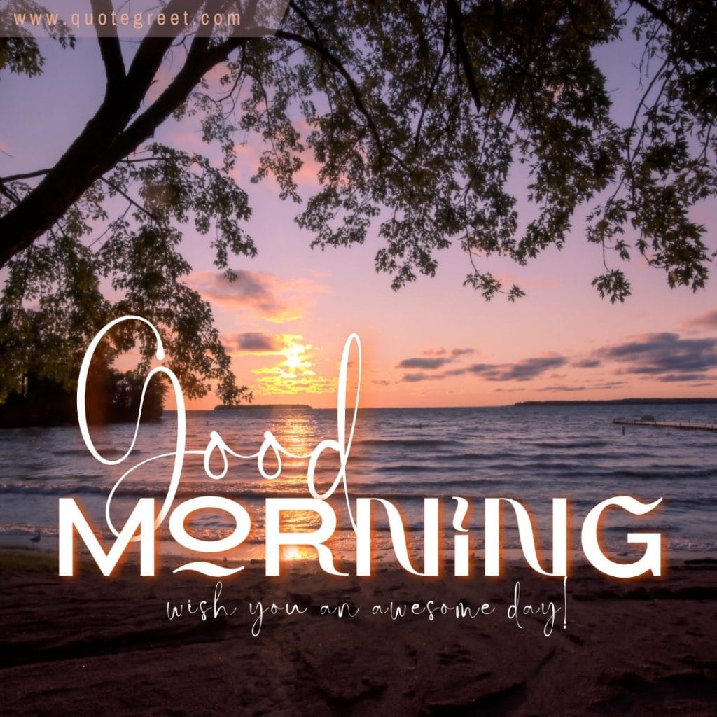 good-morning-beach-sunrise-tree-wish-you-an-awesome-day-beautiful-nature-natural-landscape-pic-gud-image-picture-photo