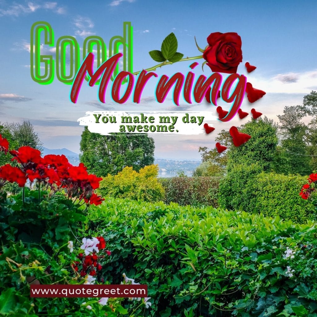 green-garden-good-morning-flowers-greenery-single-red-rose-landscape-scenery-park-nature-natural-pic-gud-image-photo-picture