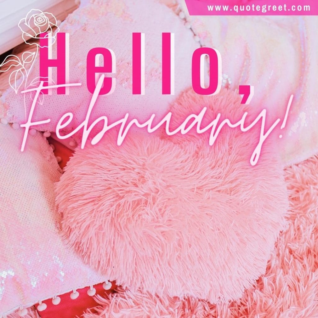 hello-february-with-pink-fluffy-heart-pillow-image-pic-picture