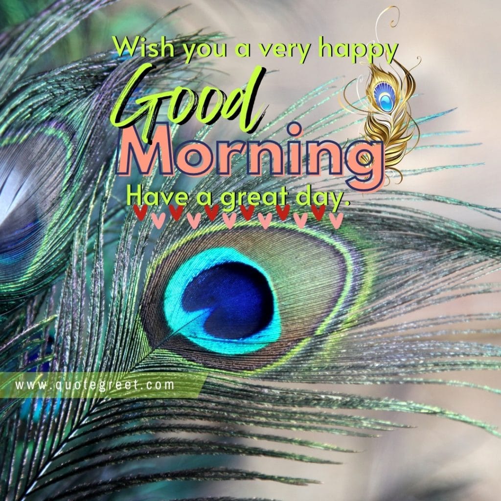 peacock-feather-good-morning-wishes-message-beautiful-feathers-image-pic-gud-picture-photo