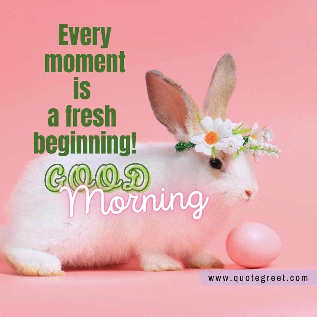 cute-white-rabbit-good-morning-bunny-image-pic-gud-wishes-bunnies-rabit-with-flowers.