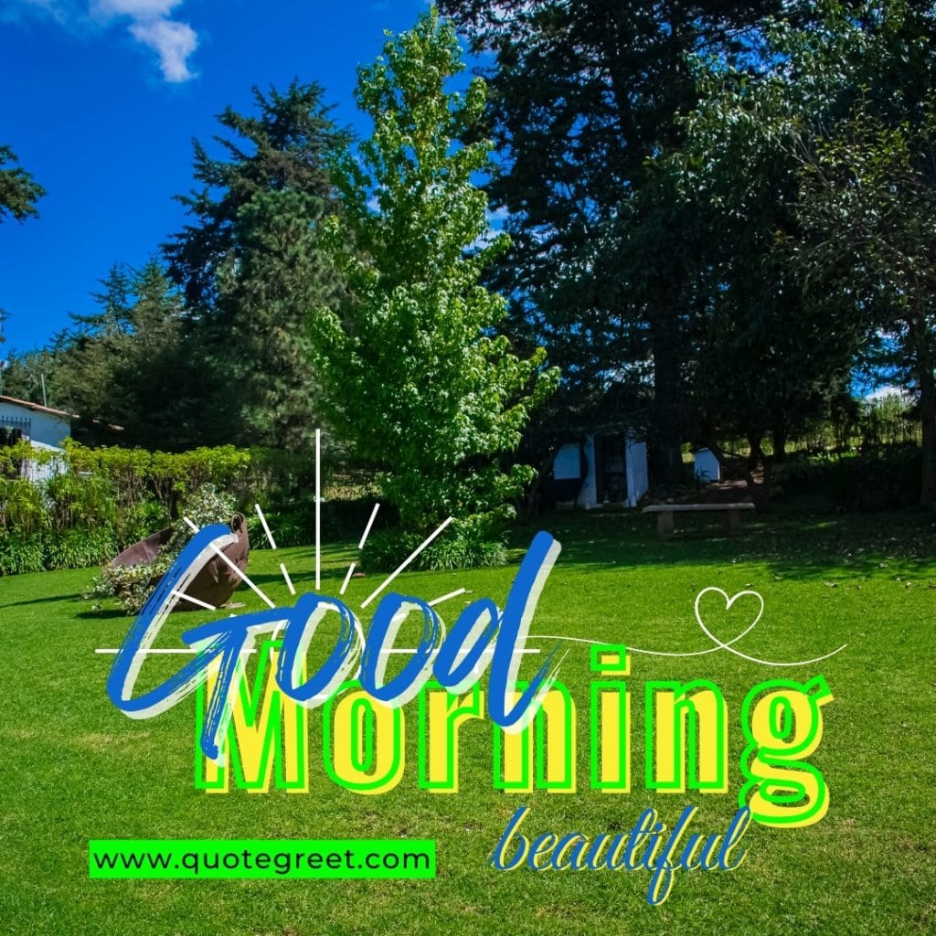 good-morning-beautiful-green-garden-park-trees-greenery-landscape-scenery-scenic-nature-natural-pic-gud-image-photo-picture