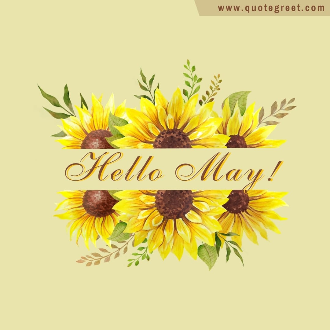 hello-may-sunflower-clipart-floral-yellow-split-sunflower-flowers-image-pic-picture-photo