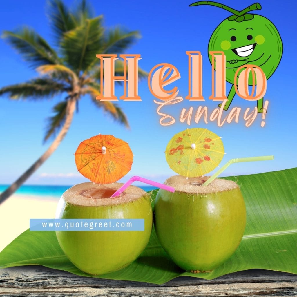 hello-sunday--summer-vibes-beach-coconuts-tree-nature-natural-image-pic-picture-photo