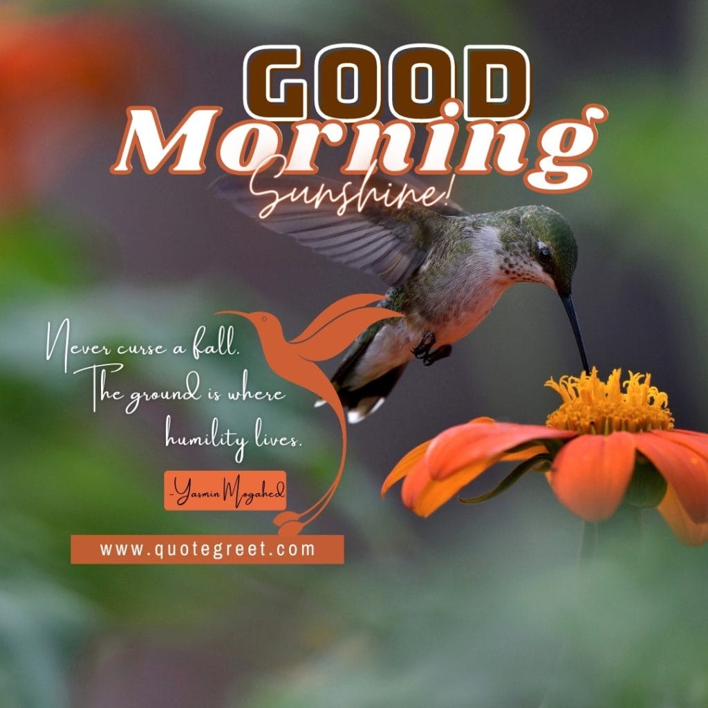 inspirational-good-morning-quote-hummingbird-orange-flower-quotes-bird-picture-pic-photo-image