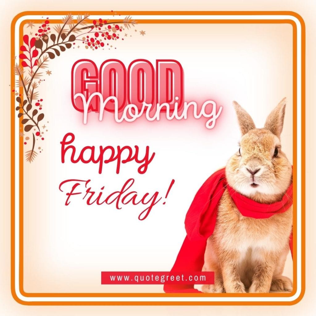 rabbit-good-morning-happy-friday-bunny-image-pic-gud-wishes-bunnies-rabit