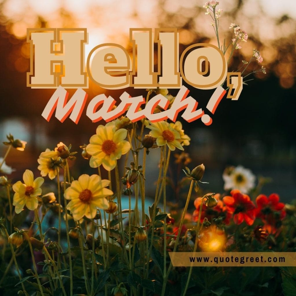 hello-march-flower-garden-image-pic-picture-photo