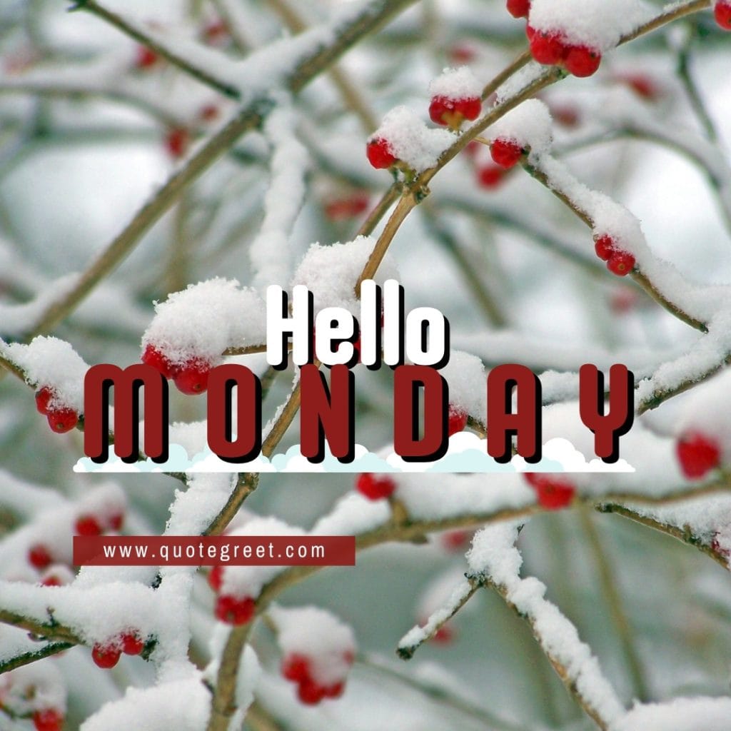 winter-hello-monday-images-snow-red-white-image-picture-images