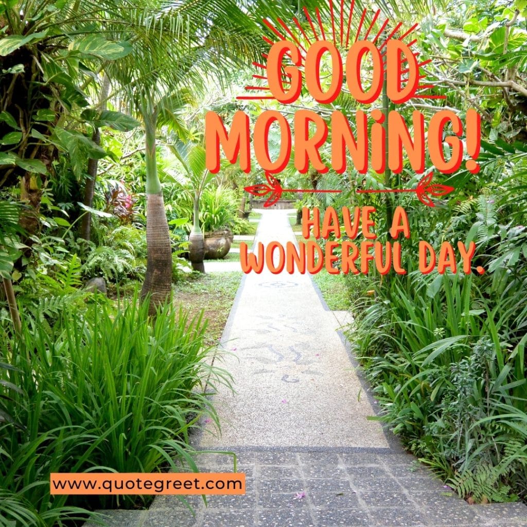 good-morning-have-a-wonderful-day-garden-trees-greenery-park-landscape-scenic-scenery-nature-natural-pic-gud-image-photo-picture