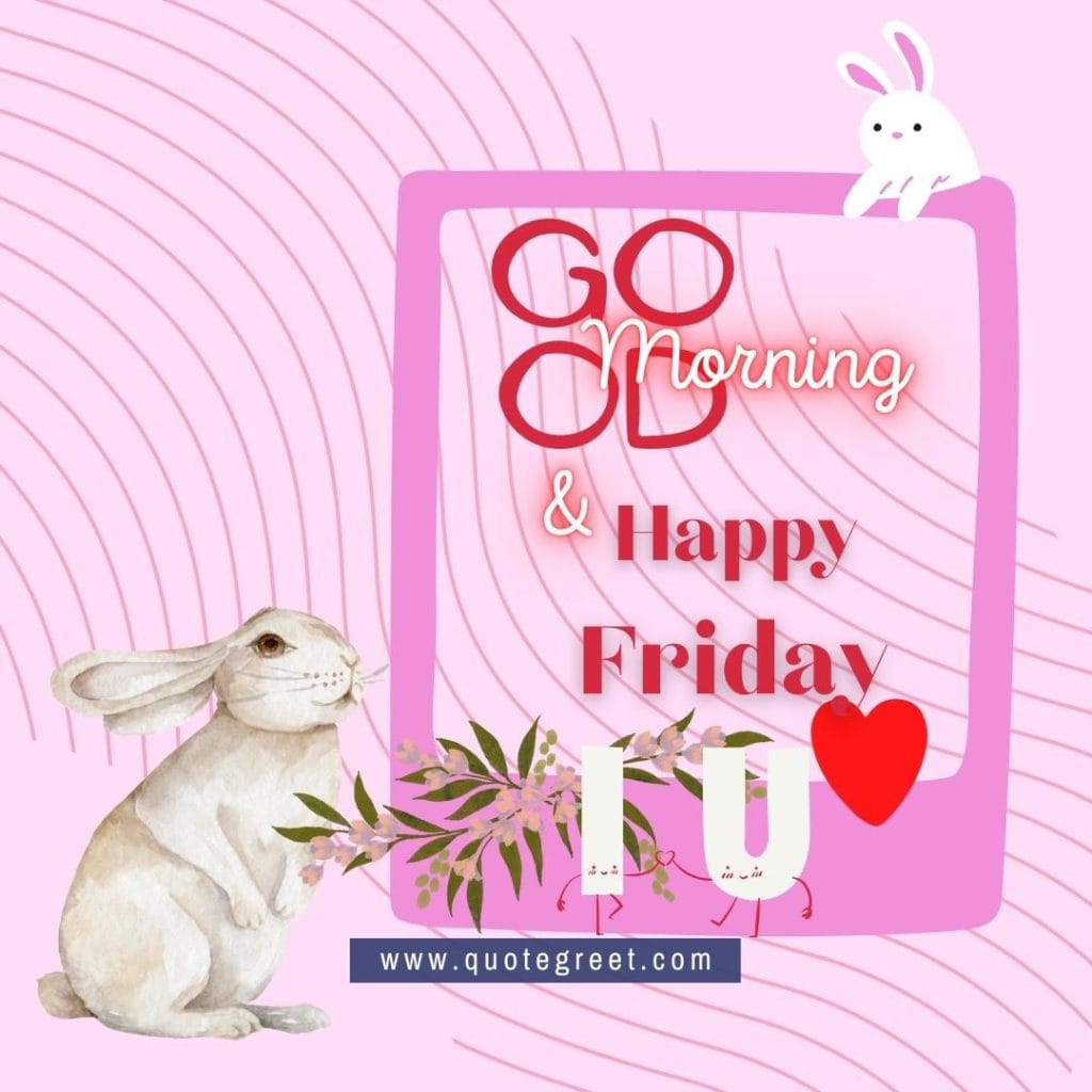 rabbit-good-morning-happy-friday-bunny-image-pic-gud-wishes-bunnies-rabit