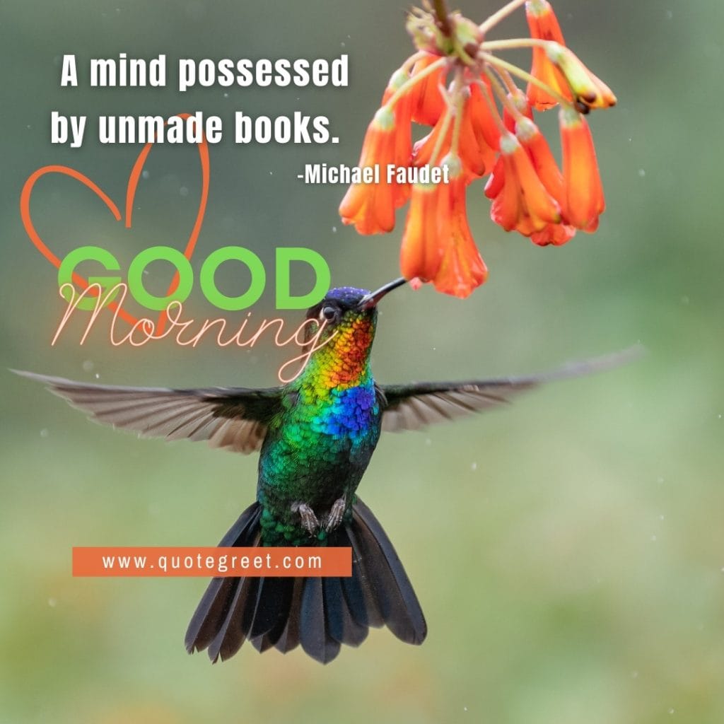 short-good-morning-quote-hummingbird-orange-flower-deep-quotes-bird-picture-pic-photo-image