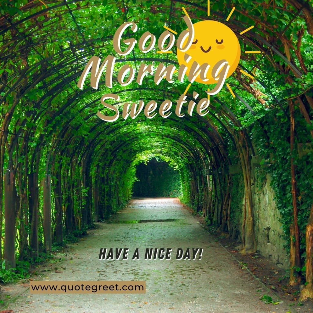 good-morning-sweetie-garden-alley-green-path-have-anice-day-park-landscape-scenic-scenery-nature-natural-pic-gud-image-photo-picture