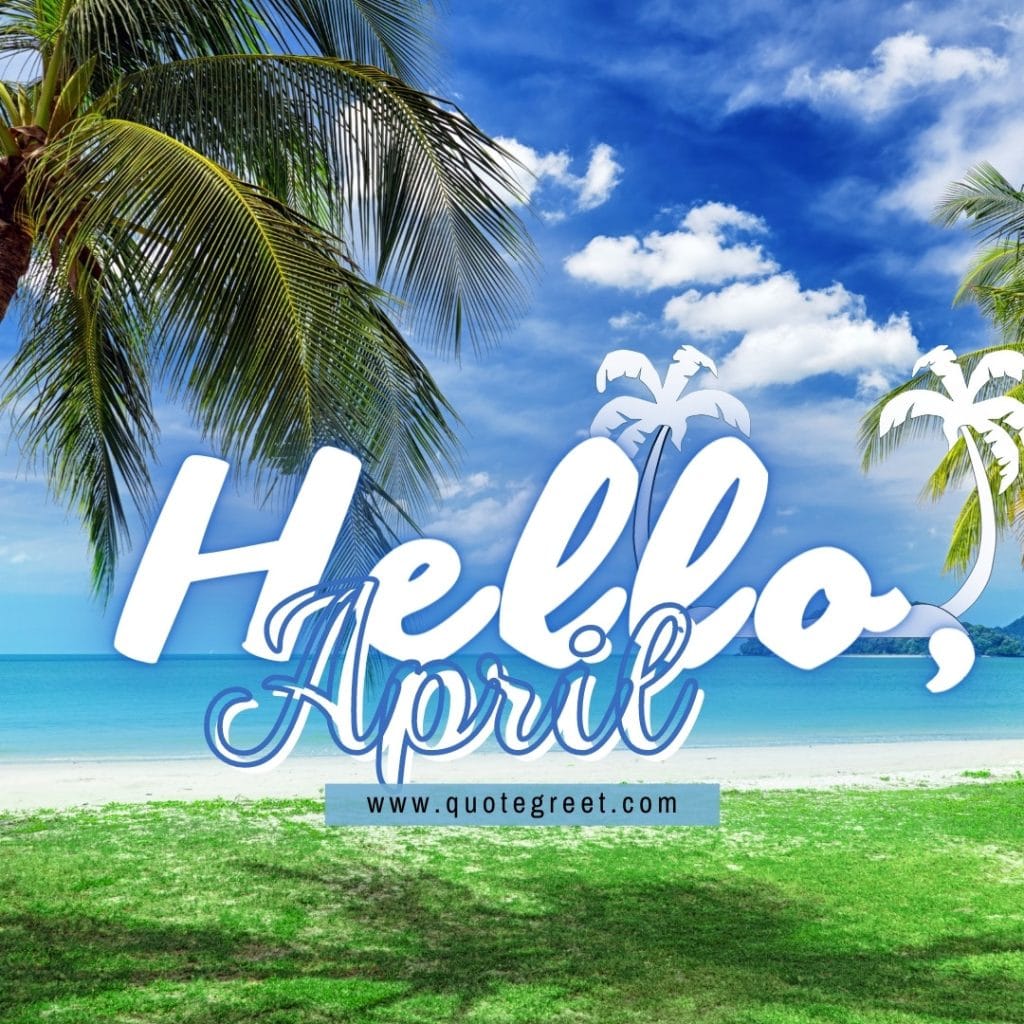 hello-april-palm-tree-beach-white-sand-sunny-summer-warm-beautiful-pic-image-picture-photo