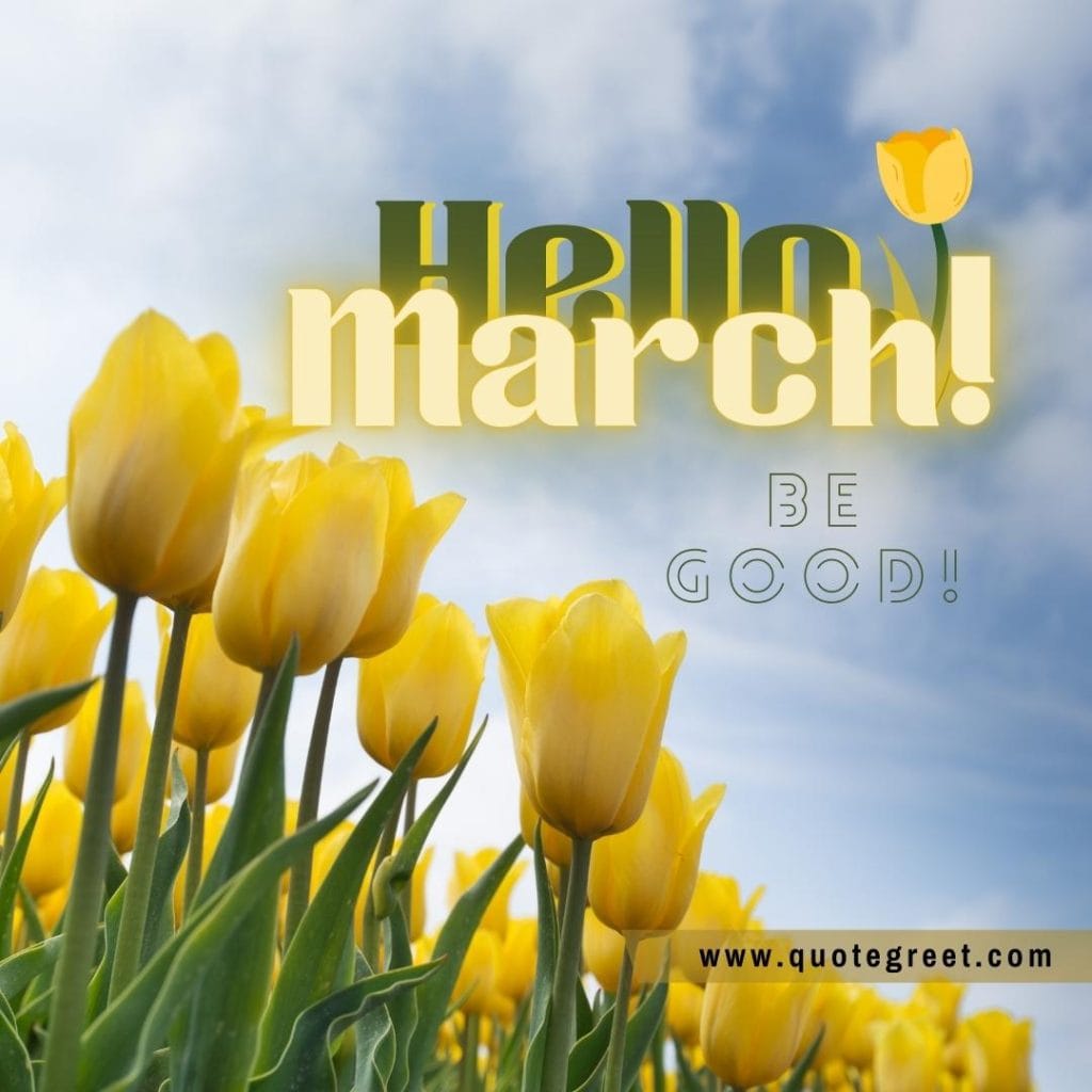 hello-march-tulips-yellow-flowers-blu-sky-nature-image-pic-picture-photo