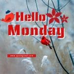 hello-monday-red-bird-winter-snow-nature-images-image-picture-photobeautiful-cute