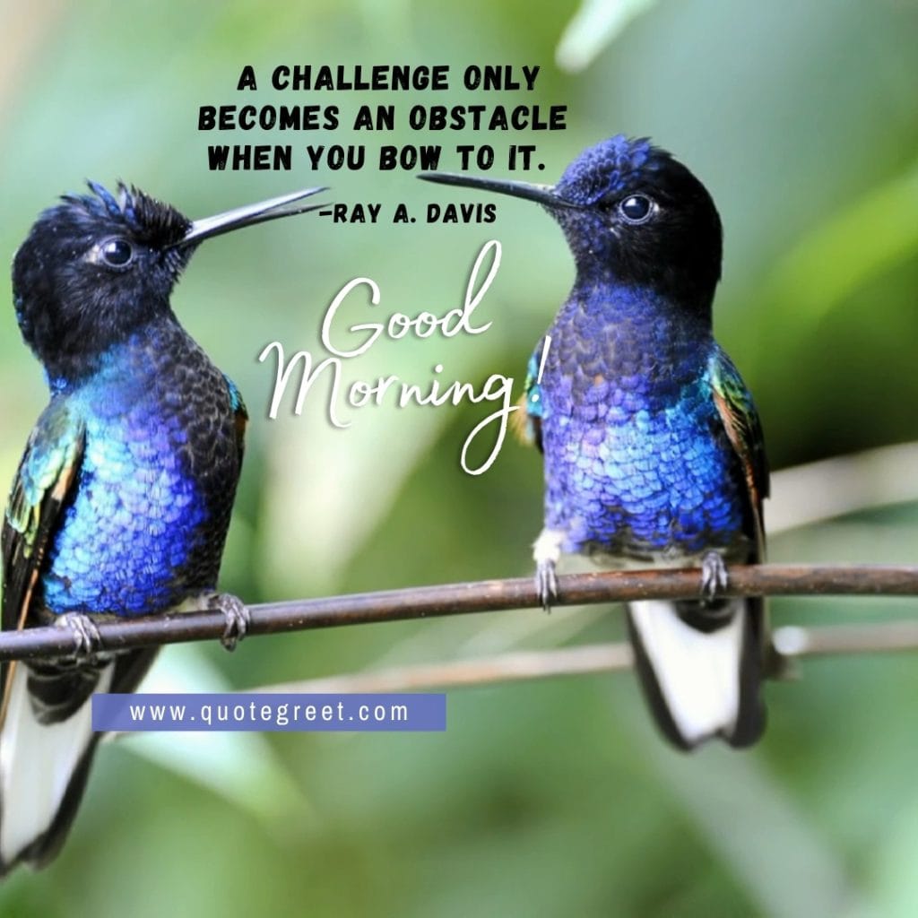 motivational-good-morning-quote-blue-hummingbirds-inspirational-positive-quotes-short-deep-bird-picture-pic-photo-image