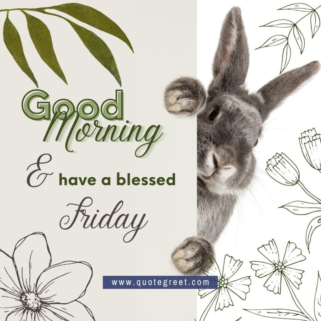 rabbit-good-morning-blessed-friday-bunny-image-pic-gud-wishes-bunnies-rabit