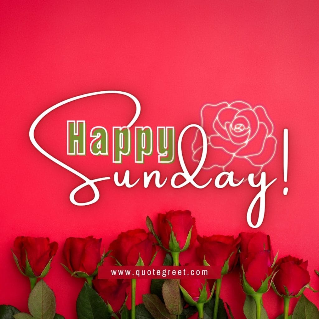 happy-sunday-red-roses-beautiful-flowers-rose-romantic-image-pic-picture-photo