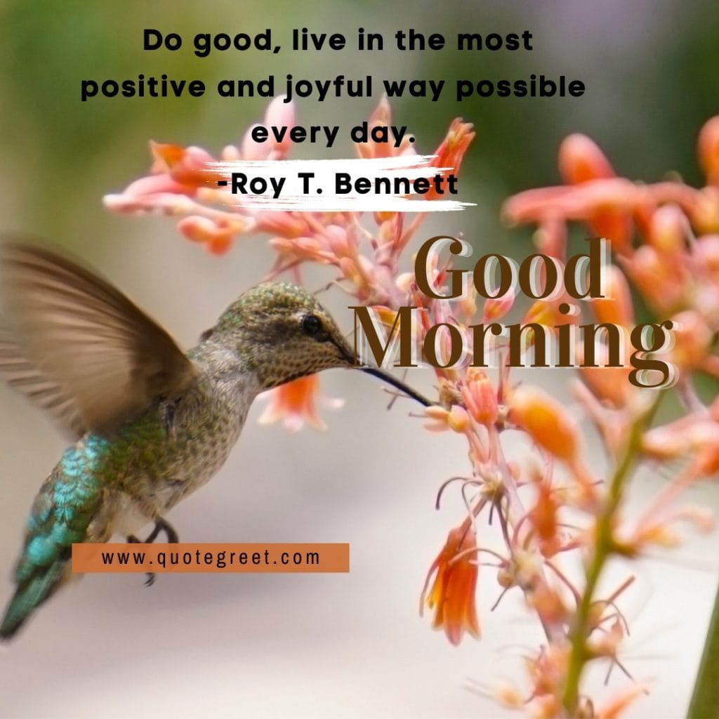 positive-inspirational-good-morning-quote-hummingbird-flowers-motivational-quotes-short-deep-bird-picture-pic-photo-image