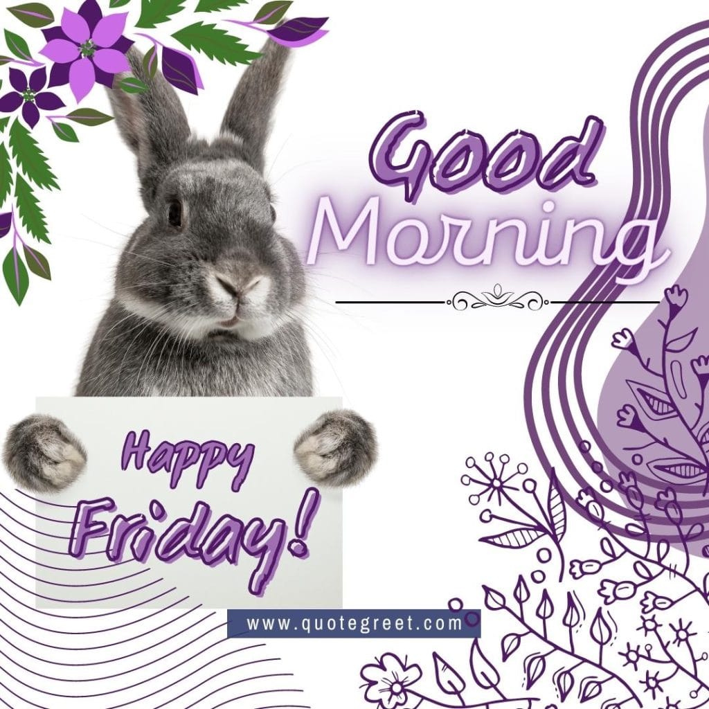 rabbit-good-morning-happy-friday-bunny-image-pic-gud-wishes-bunnies-rabit