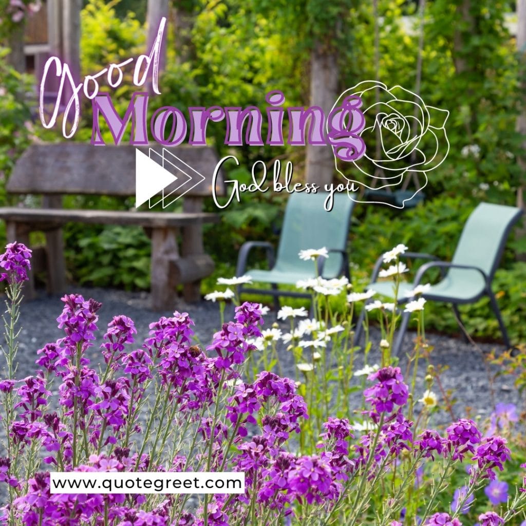 pruple-flower-garden-good-morning-god-bless-you-bench-chairs-flowers-nature-natural-pic-gud-image-photo-picture