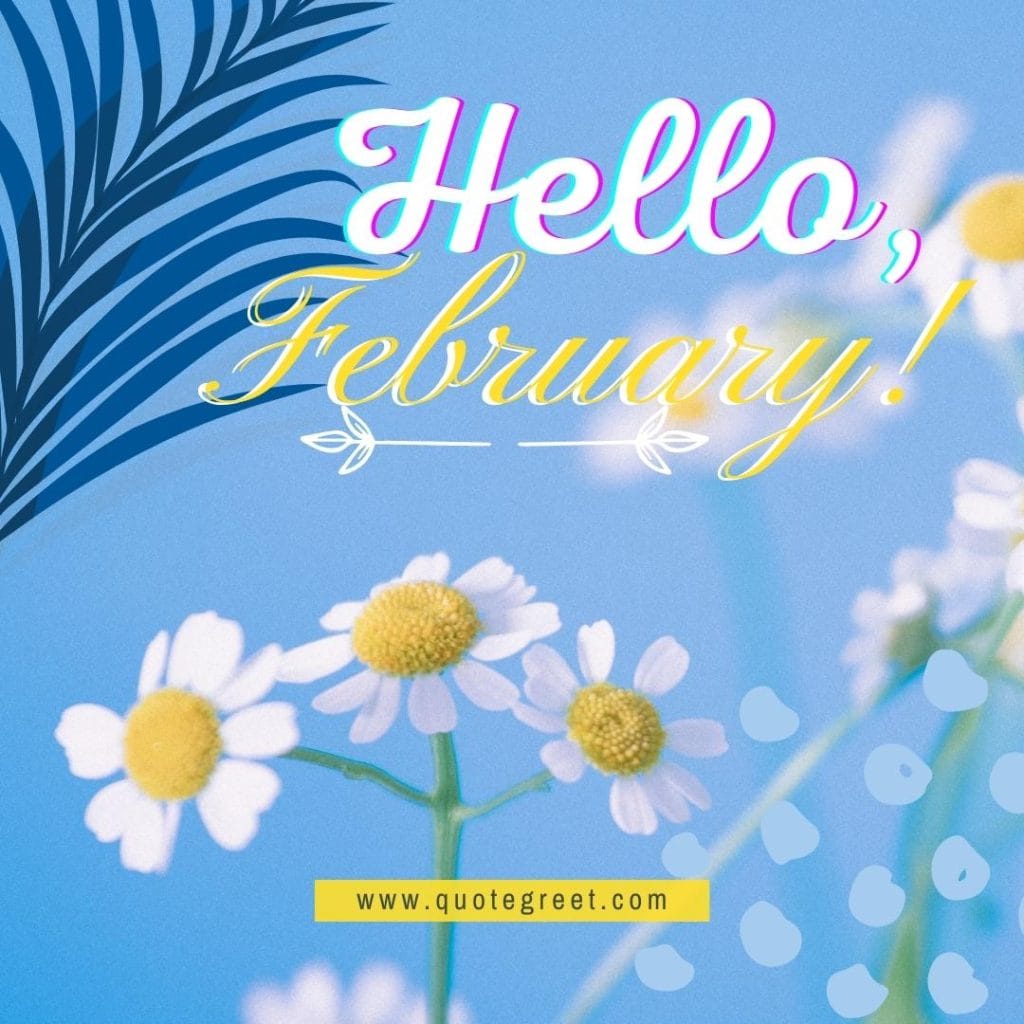 hello-february-with-cute-blue-image-with-white-flowers-daisy-pic-picture