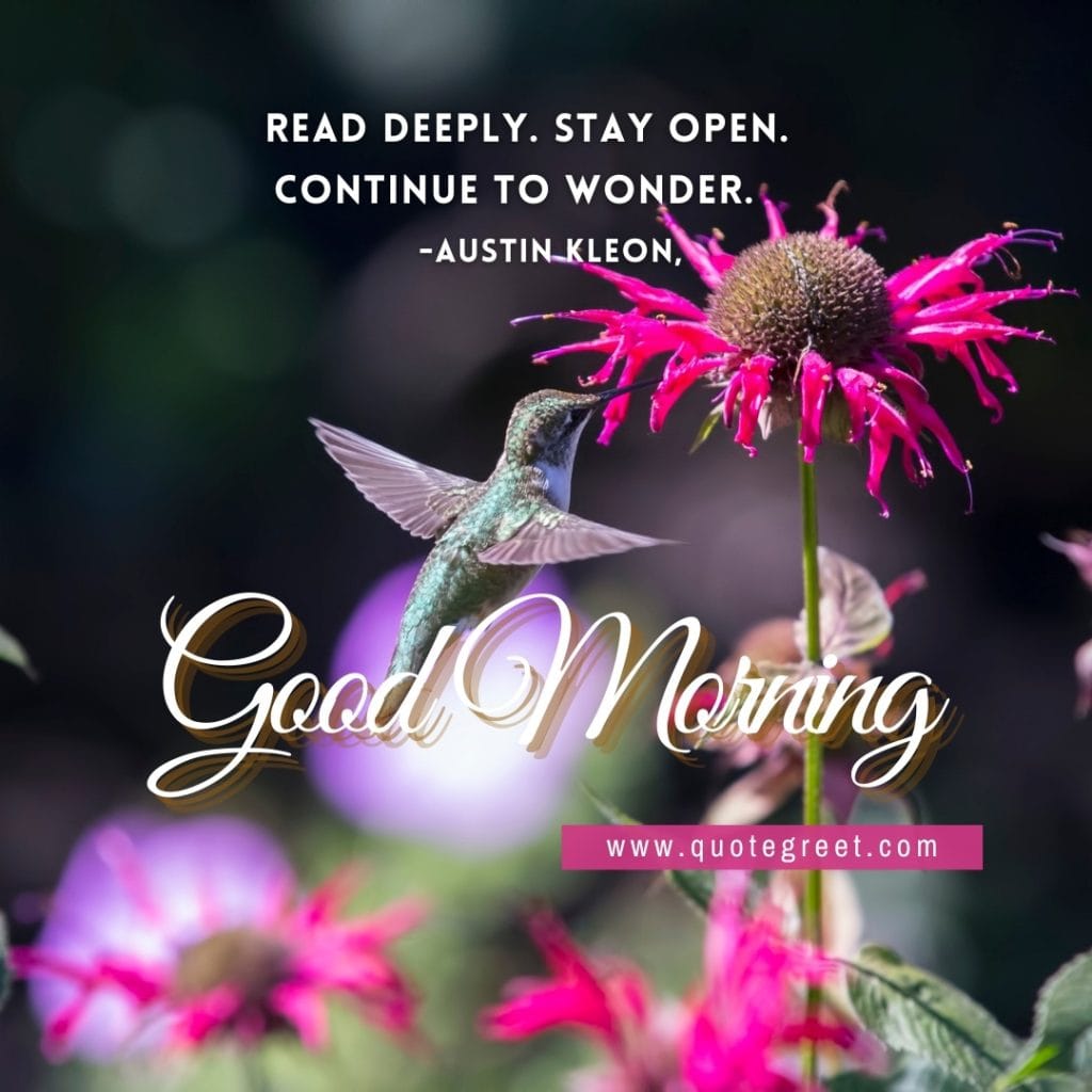 motivational-good-morning-quote-hummingbird-flower-inspiring-short-deep-quotes-bird-picture-pic-photo-image