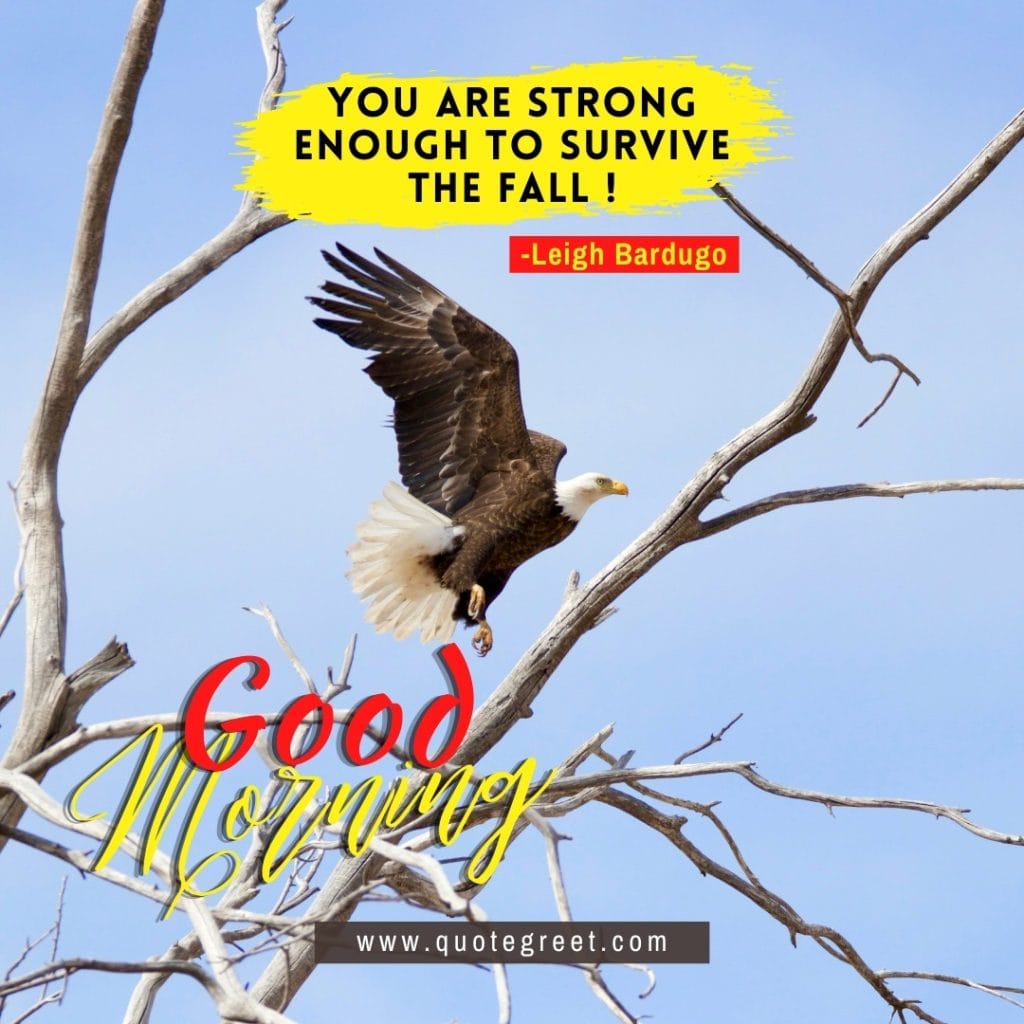 positive-good-morning-quotes-inspirational-motivational-encouraging-flying-eagle-bird-nature-tree-branches-deep-short-image-pic-gud-picture-photo