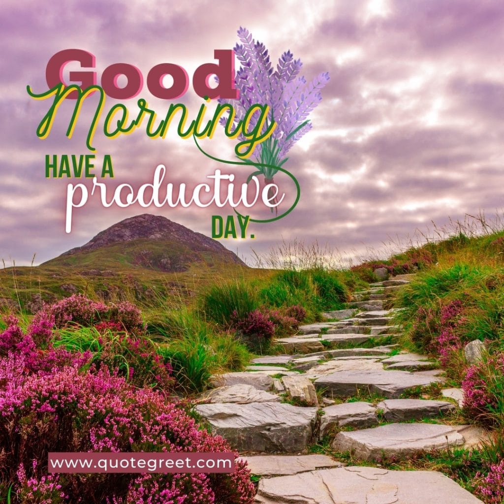 flower-garden-on-mountain-good-morning-have-aproductive-day-flowers-path-park-landscape-scenic-scenery-nature-natural-pic-gud-image-photo-picture