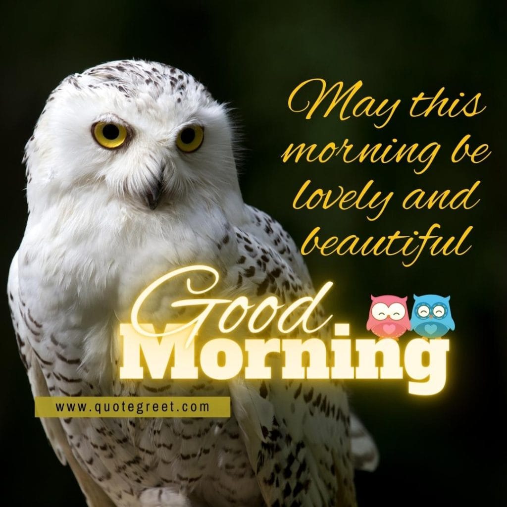 good-morning-cute-owl-bird-msg-message