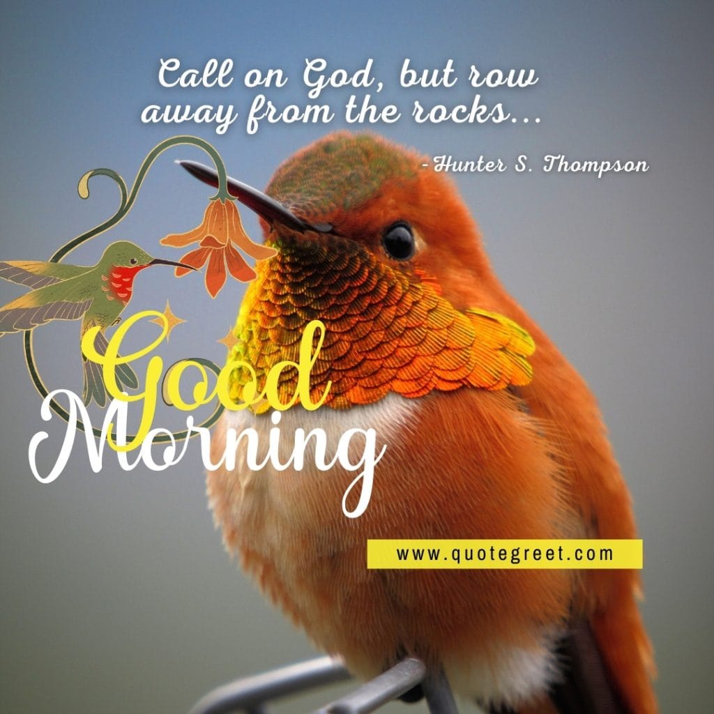 wisdom-good-morning-quote-cute-orange-hummingbird-motivational-deep-inspirational-inspiring-bird-picture-pic-photo-image